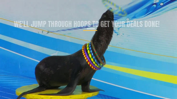 Seal The Deal